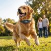 GPS Dog Training Collar IP67 Waterproof E Collar Remote Rechargeable Black